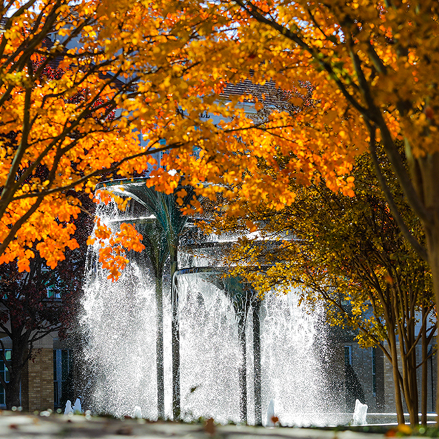 Fall foliage and frog fountain